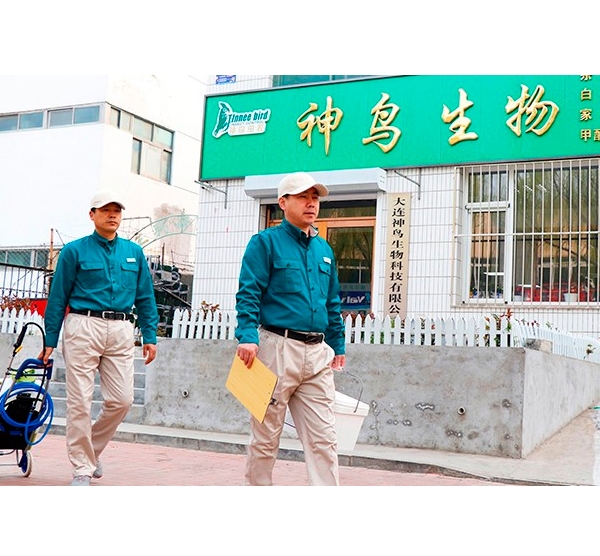 普兰店杀虫公司