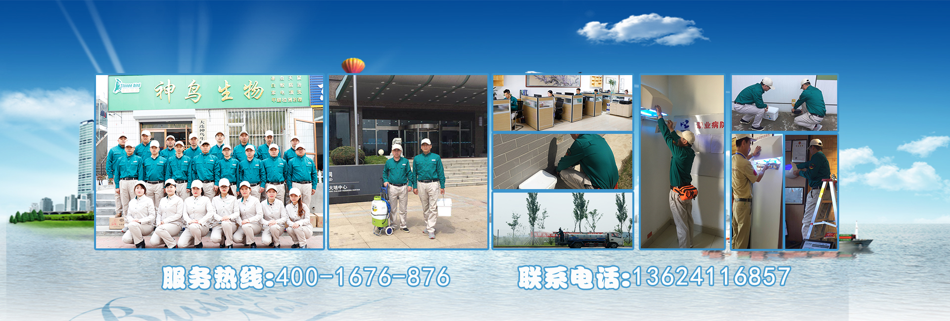 大连除虫
