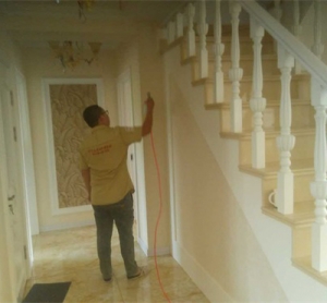 南充除甲醛 南充除甲醛