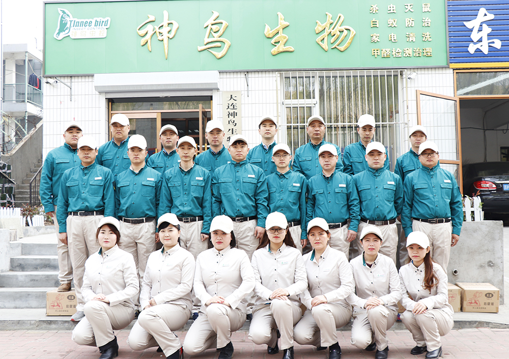 除甲醛公司 除甲醛公司