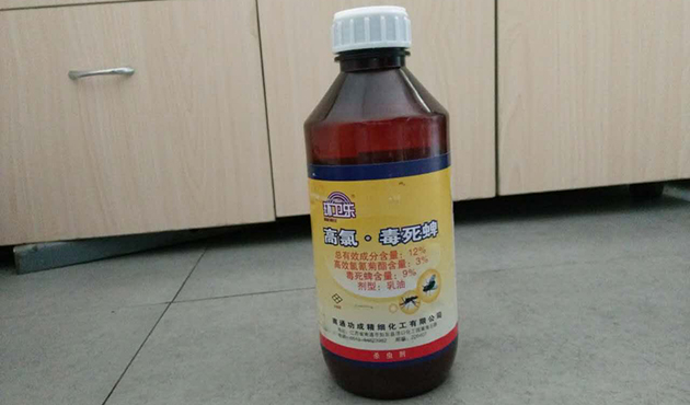 大连虫控 大连虫控