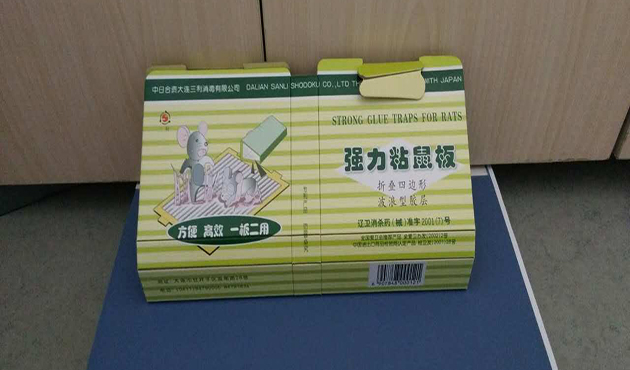 大连杀虫 大连杀虫
