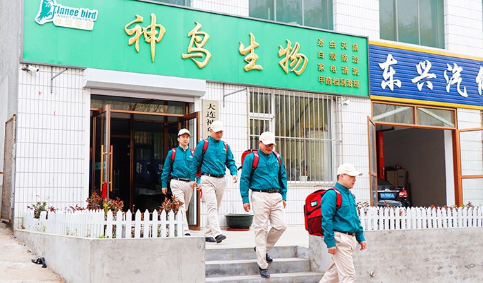 大连杀虫