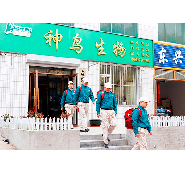 大连杀虫 大连杀虫